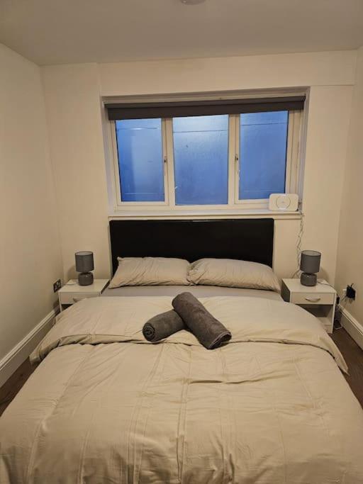 Beautiful Garden Flat Near Central Лондон Екстер'єр фото